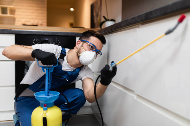 Best Flea Control Services  in Littlerock, CA
