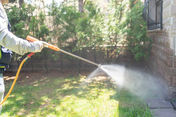 Best Pest Removal Services  in Littlerock, CA