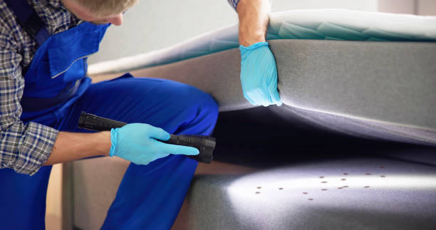 Best Pest Prevention Services  in Littlerock, CA